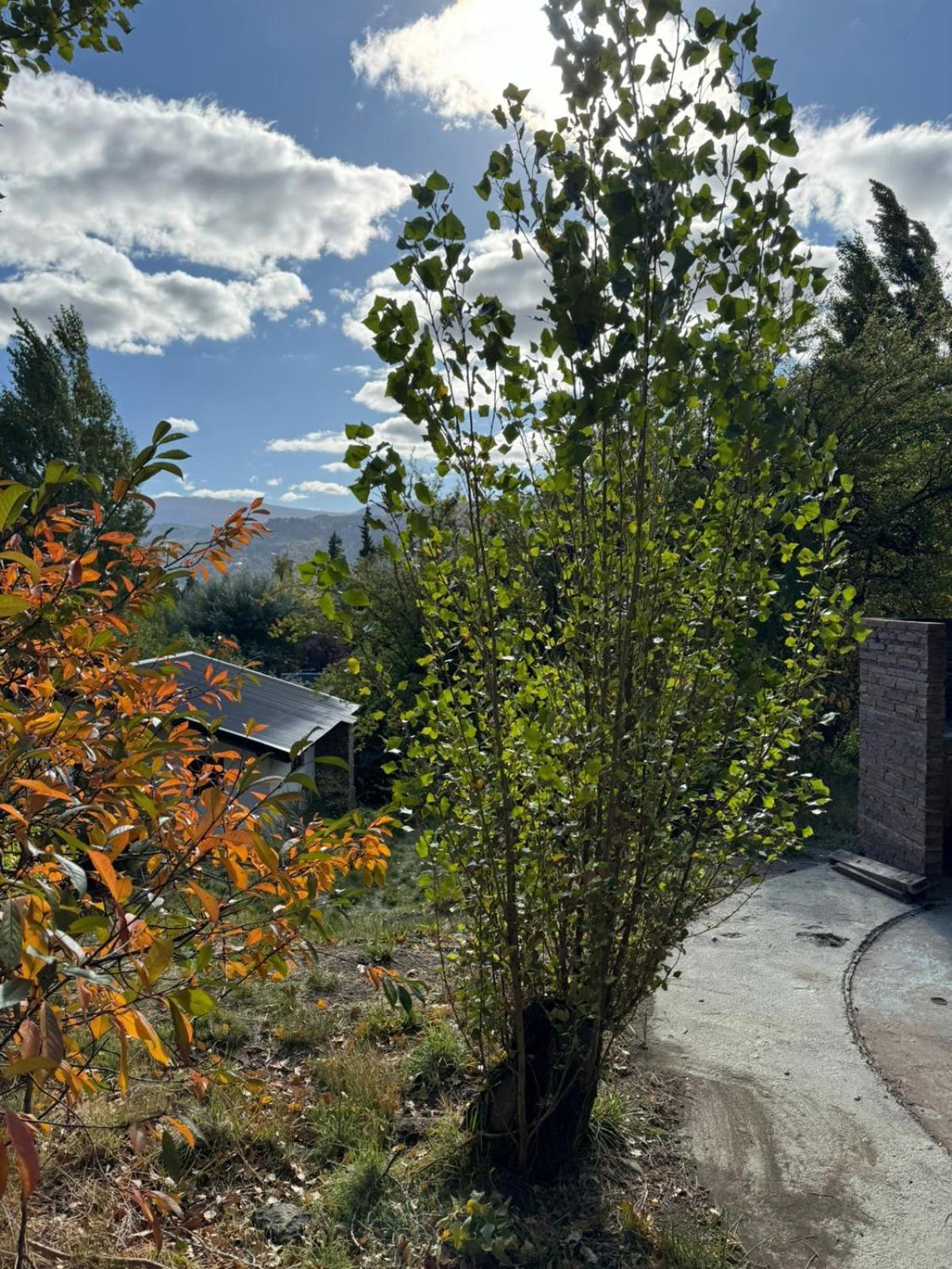 Huilen De Bandurrias Villa San Martín de los Andes Kültér fotó