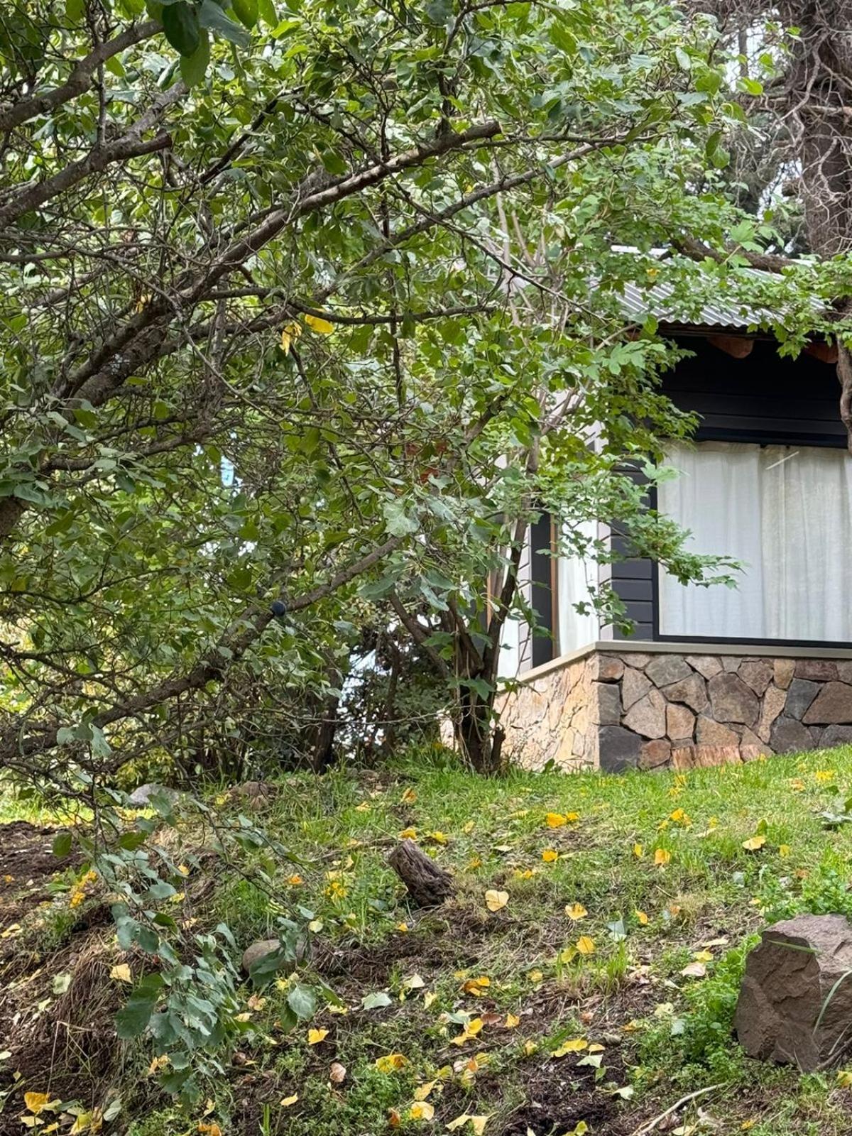 Huilen De Bandurrias Villa San Martín de los Andes Kültér fotó